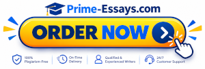 order essay now